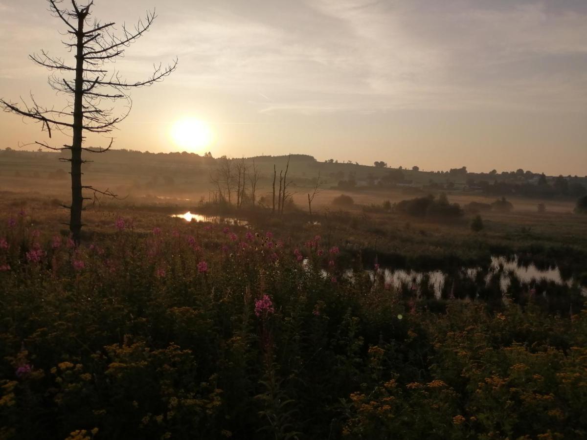 Eifel Lodge 부트겐바흐 외부 사진